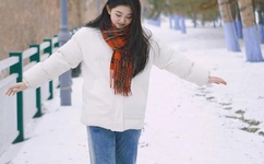 疯狂金龟车国语